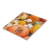Stapel pompoenen en pompoenen tegeltje (Zijkant)