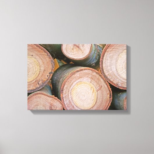 stapel stammen van stammen canvas afdruk (Voorkant)