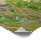 Stapel van gebalanceerde raketten poster (Hoek)