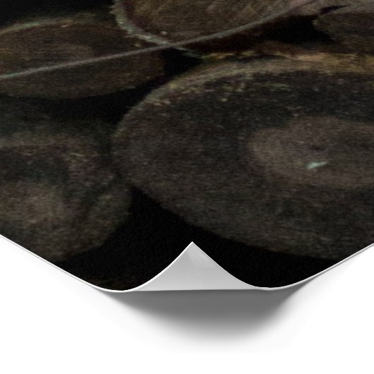 Stapel vuurhout poster (Hoek)