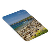 Stapel zeeolifanten magneet (Rechterzijde)