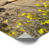 Stapel zeeolifanten poster (Hoek)