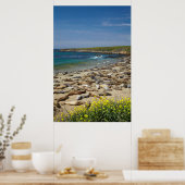 Stapel zeeolifanten poster (Keuken)