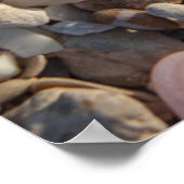 stapel zeeschelpen poster (Hoek)