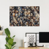 stapel zeeschelpen poster (Thuiskantoor)