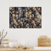 stapel zeeschelpen poster (Keuken)