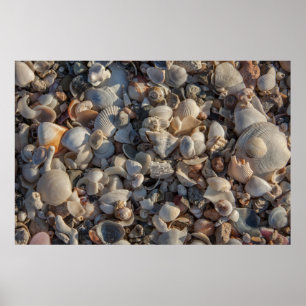 stapel zeeschelpen poster