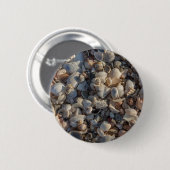 stapel zeeschelpen ronde button 5,7 cm (Voorkant /achterkant)