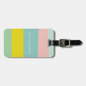 Stapelbandkleuren in kleine pastels bagagelabel (Voorkant horizontaal)