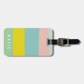 Stapelbandkleuren in kleine pastels bagagelabel (Voorkant horizontaal)