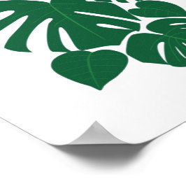 Stapelbloem Monsterbladeren Poster