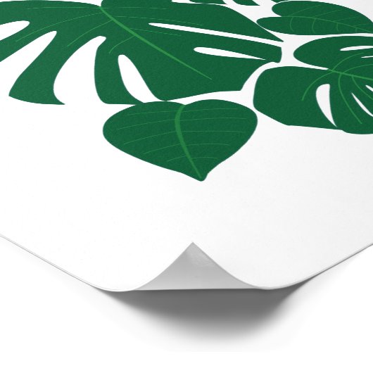 Stapelbloem Monsterbladeren Poster (Hoek)