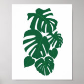 Stapelbloem Monsterbladeren Poster (Voorkant)