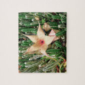Stapelia Starfish Cactus Flower Photo Legpuzzel (Verticaal)