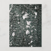 Stapels Briefkaart (Voorkant)