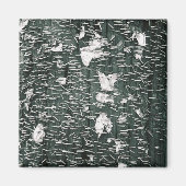 Stapels Magneet (Voorkant)