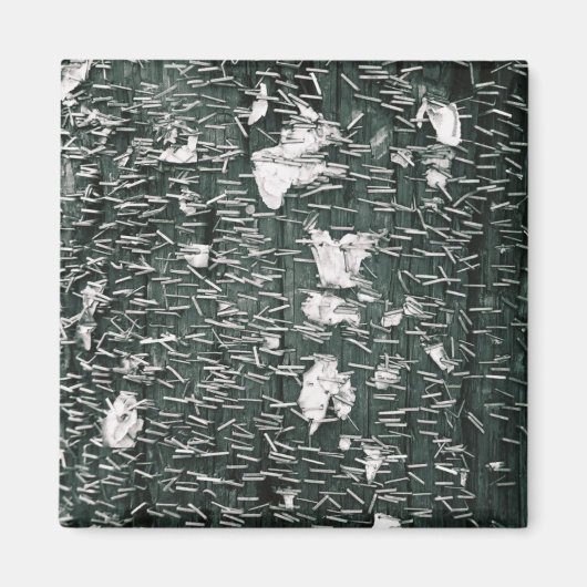 Stapels Magneet (Voorkant)