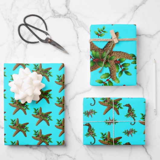 Stapelvis Aqua Beach-kerstwrapppapier Inpakpapier Vel (Voorkant)