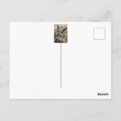 Stapelwortel Briefkaart (Achterkant)