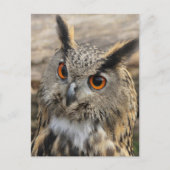 Stapelwortel Briefkaart (Voorkant)