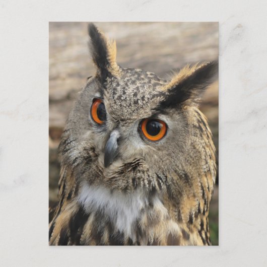 Stapelwortel Briefkaart (Voorkant)