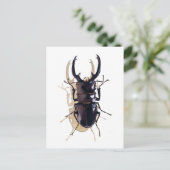 "Stapkever" Insecte Waterverf Art Briefkaart (Staand voorkant)