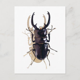 "Stapkever" Insecte Waterverf Art Briefkaart