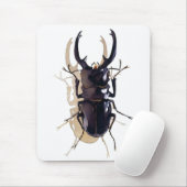 "Stapkever" Insecte Waterverf Art Muismat (Met muis)