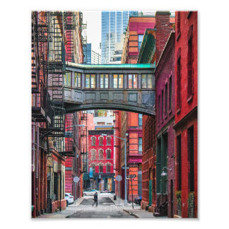 Staple Street Bridge Foto Afdruk