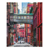 Staple Street Bridge Foto Afdruk (Voorkant)