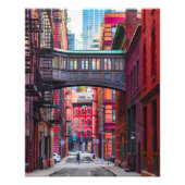 Staple Street Bridge (groot) Foto Afdruk (Voorkant)