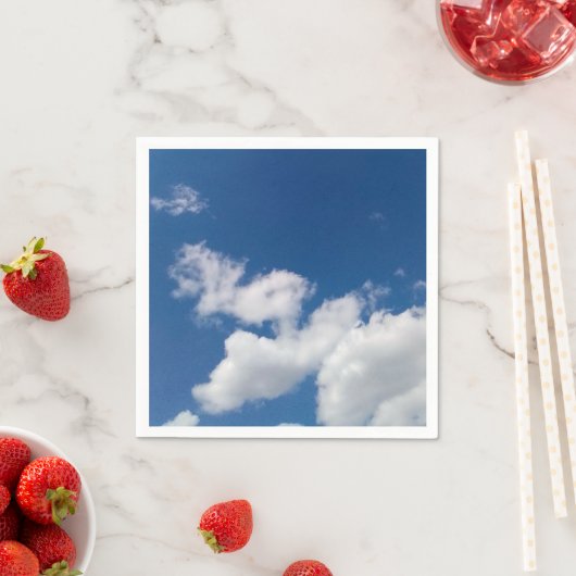 Stappen in de cloud servet (Insitu)