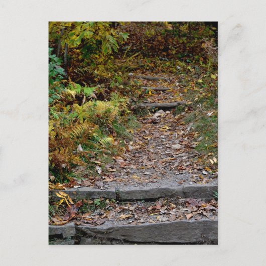 Stappen naar de Applaus Briefkaart (Voorkant)