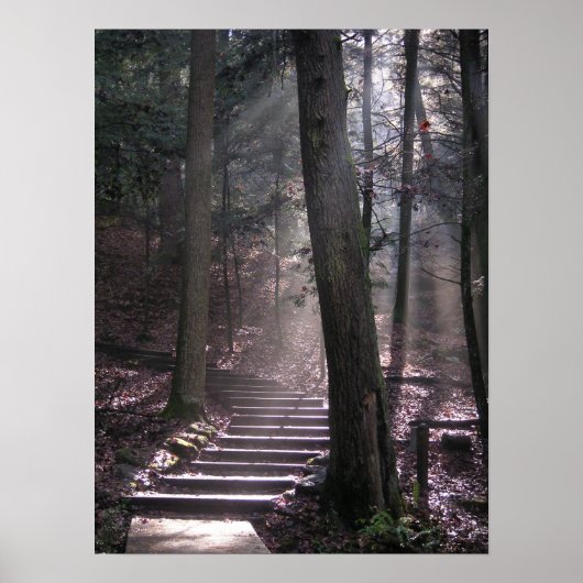 Stappen naar verlichting poster (Voorkant)