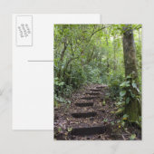 Stappen oplopend op pad. Tropisch wolkenbos Briefkaart (Voorkant / Achterkant)