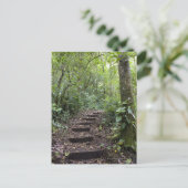 Stappen oplopend op pad. Tropisch wolkenbos Briefkaart (Staand voorkant)