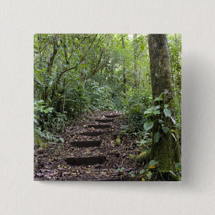Stappen oplopend op pad. Tropisch wolkenbos Vierkante Button 5,1 Cm