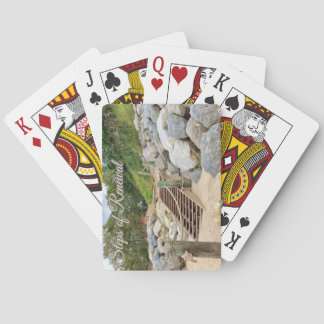 Stappen van Vernieuwing Pokerkaarten