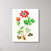 Star Anemone Canvas Afdruk (Voorkant)