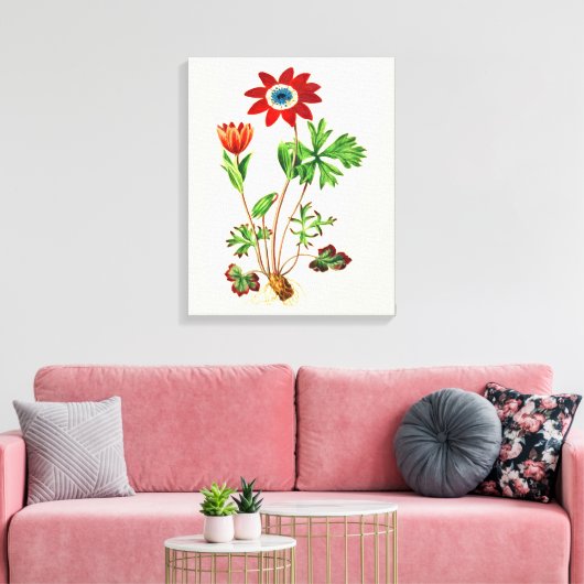 Star Anemone Canvas Afdruk (Insitu (Woonkamer))