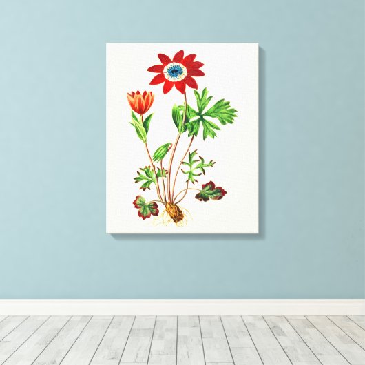 Star Anemone Canvas Afdruk (Insitu (Houten vloer))