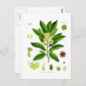 Star anise briefkaart (Voorkant / Achterkant)