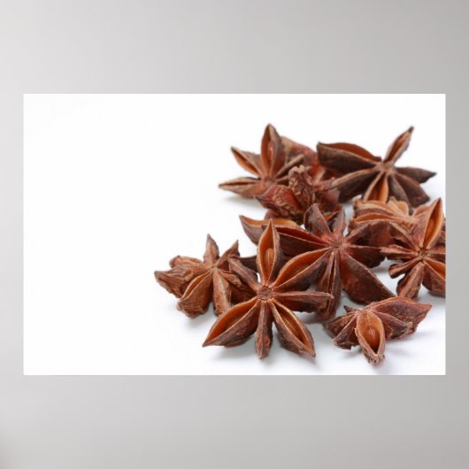 Star anise poster (Voorkant)