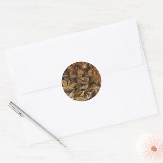 Star Anise Ronde Sticker (Envelop)
