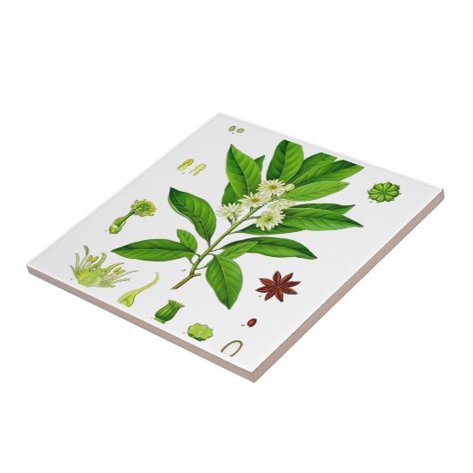 Star Anise Tegeltje (Zijkant)