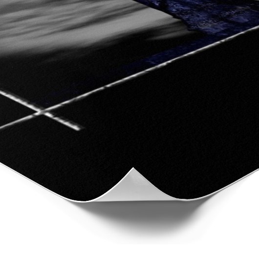 Star Catcher Poster (Hoek)