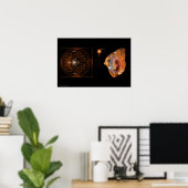 Star Child van Gregory Gallo Poster (Thuiskantoor)