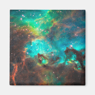 Star Cluster NGC 2074 Magneet