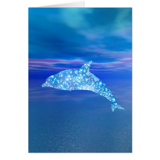 Star Dolphin (Voorkant)