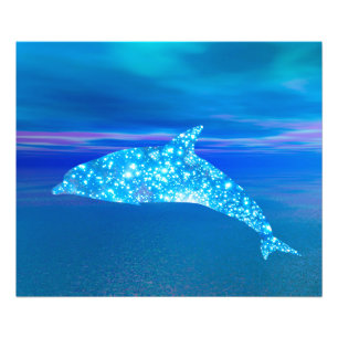 Star Dolphin Foto Afdruk